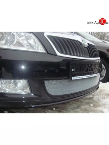 Сетка на бампер (рестайлинг) Russtal (хром) Skoda Fabia Mk2 универсал дорестайлинг (2007-2010)
