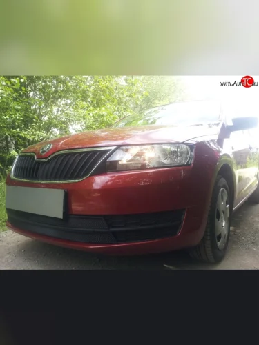 Сетка на бампер Russtal (черная) Skoda Rapid NH1 хэтчбэк дорестайлинг (2012-2017)