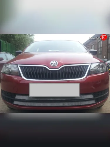 Сетка на бампер Russtal (хром) Skoda Rapid NH1 хэтчбэк дорестайлинг (2012-2017)