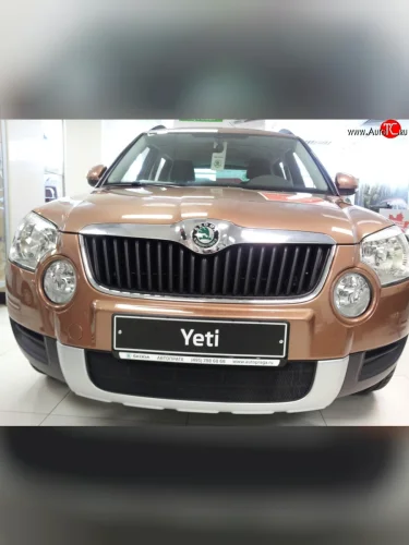 Сетка на бампер Russtal (черная) Skoda Yeti (2009-2013)