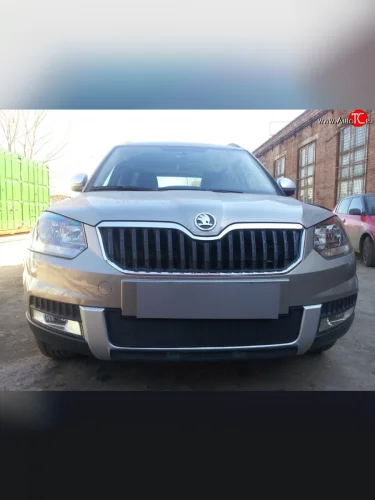 Нижняя сетка на бампер Outdoor Russtal (черная) Skoda Yeti (2013-2018)