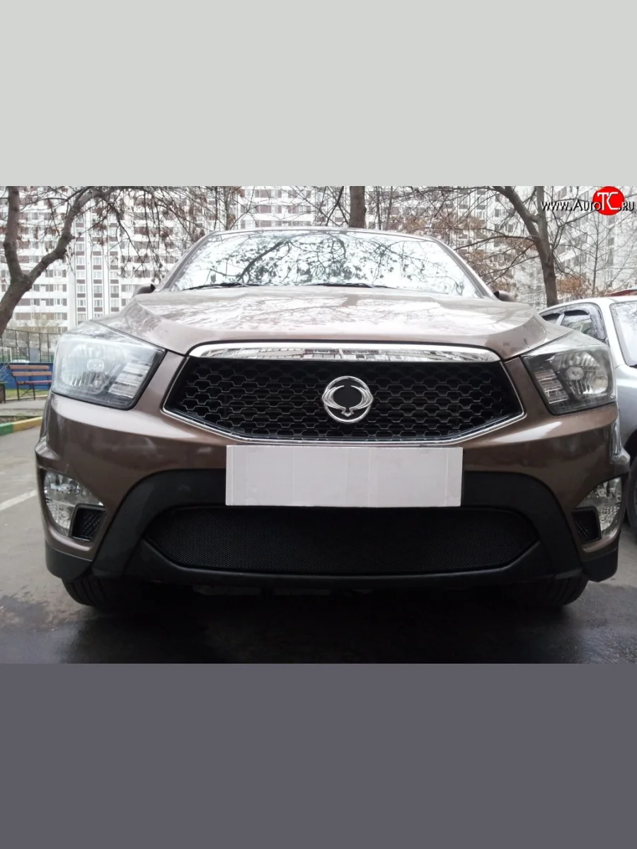 Сетка на бампер Russtal (черная) SSANGYONG Actyon Sport (2012-2025)  в Керчи Республика Крым