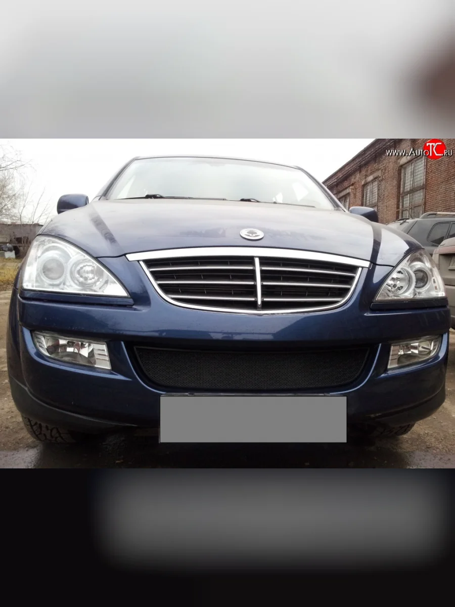 Сетка на бампер Russtal (черная) SSANGYONG Kyron дорестайлинг (2005-2007)  с доставкой в г. Пермь