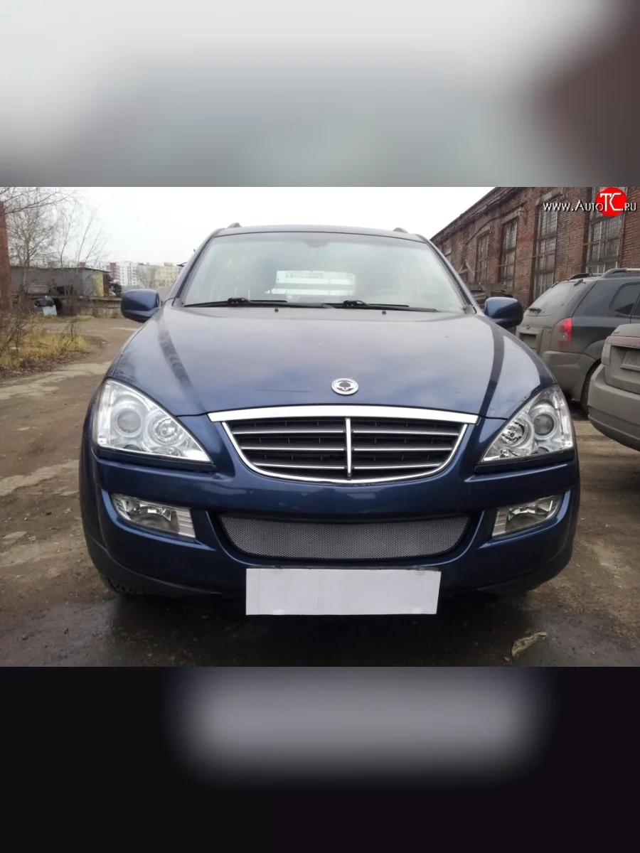 Сетка на бампер Russtal (хром) SSANGYONG Kyron дорестайлинг (2005-2007)  с доставкой в г. Керчь