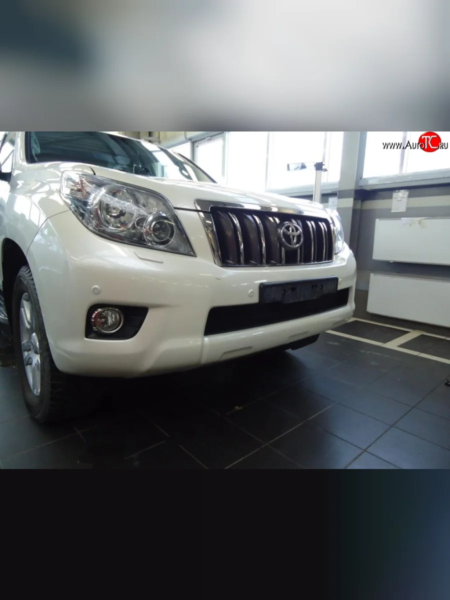 Сетка на бампер Russtal (черная) Toyota Land Cruiser Prado J150 дорестайлинг (2009-2013)  в Самаре Самарской области