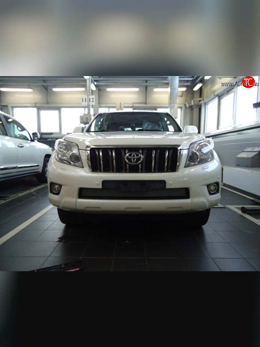 Сетка на бампер Russtal (хром) Toyota Land Cruiser Prado J150 дорестайлинг (2009-2013)  в Перми Пермском крае
