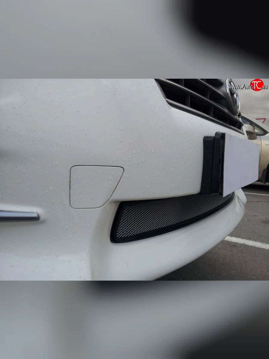 Сетка на бампер Russtal (хром) Toyota RAV4 XA30 5 дв. удлиненный 2-ой рестайлинг (2010-2013)  в Самаре Самарской области