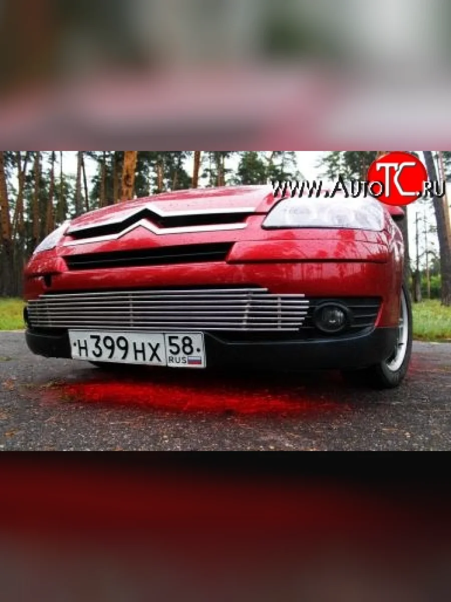 Декоративная вставка воздухозаборника Berkut  CITROEN C4 (2004-2008)