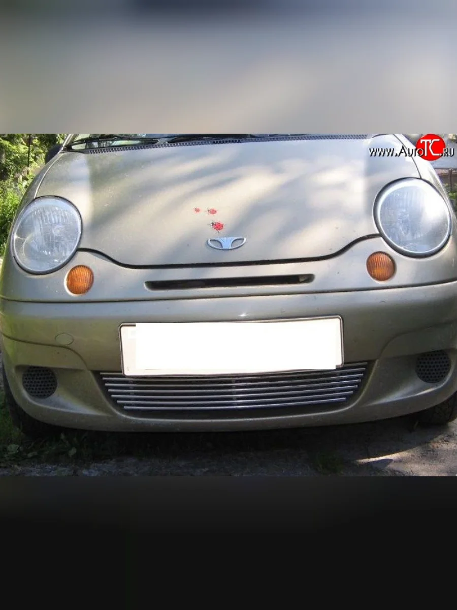 Декоративная вставка воздухозаборника (рестайлинг) Berkut Daewoo Matiz M150 рестайлинг (2000-2016)  в Керчи Республика Крым