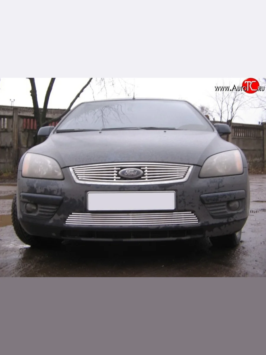 Декоративная вставка воздухозаборника Berkut Ford Focus 2 хэтчбэк 3 дв. дорестайлинг (2004-2007)  в Керчи Республика Крым