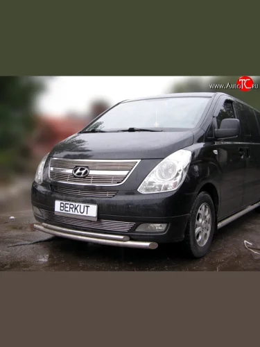 Декоративная вставка воздухозаборника Berkut Hyundai Starex/Grand Starex/H1 TQ дорестайлинг (2007-2013)