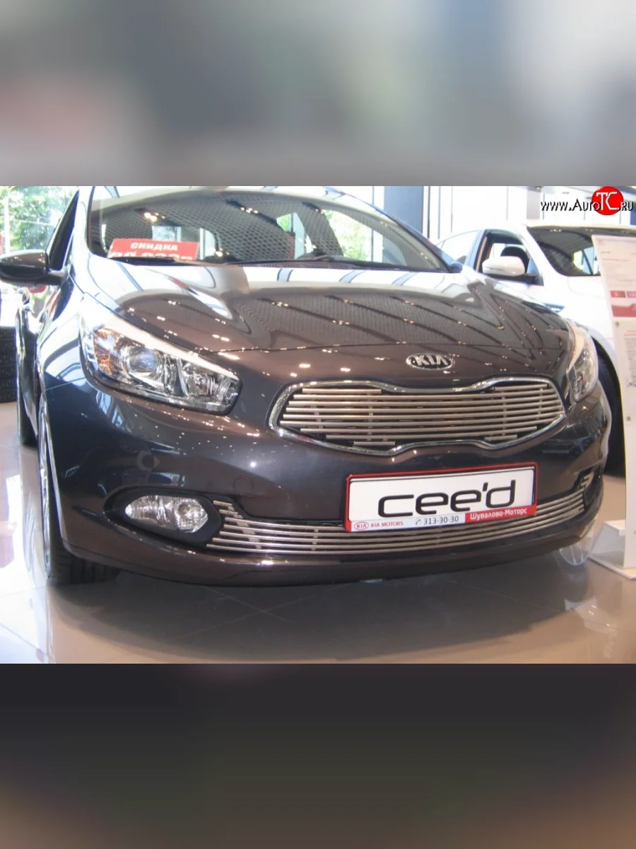 Декоративная вставка воздухозаборника Berkut KIA Ceed 1 ED рестайлинг, хэтчбэк 5 дв. (2010-2012)  в Керчи Республика Крым