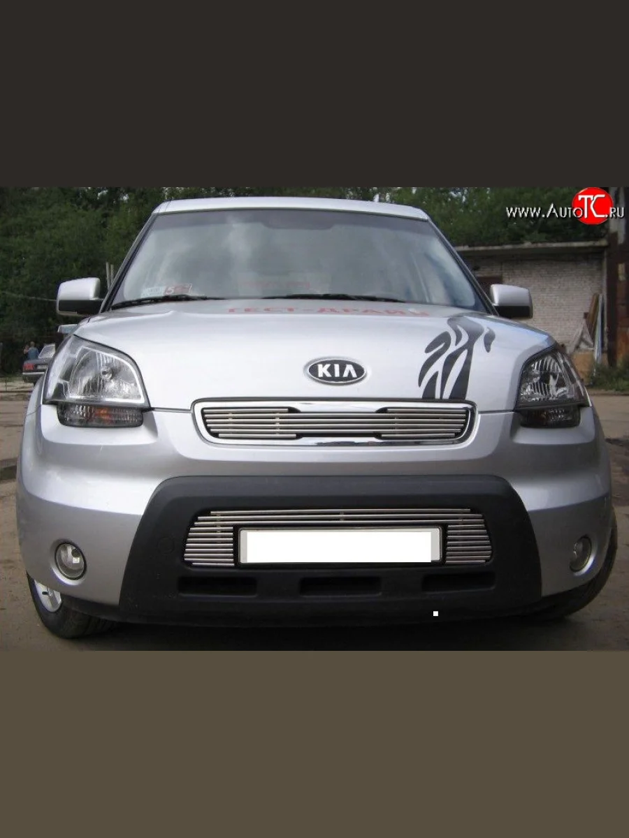 Декоративная вставка воздухозаборника Berkut KIA Soul AM дорестайлинг (2008-2011)  в Керчи Республика Крым