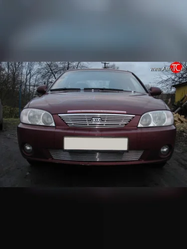 Декоративная вставка воздухозаборника (рестайлинг) Berkut KIA Spectra (2000-2009)