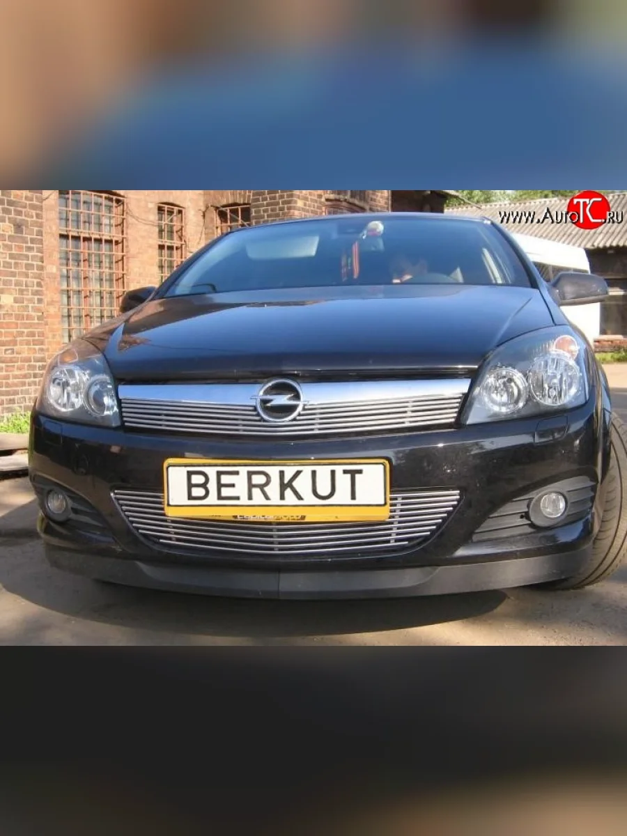 Декоративная вставка воздухозаборника Berkut Opel Astra H хэтчбек 5дв дорестайлинг (2004-2007)  в Керчи Республика Крым