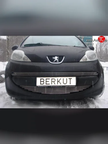 Декоративная вставка воздухозаборника Berkut Peugeot 107 PN хэтчбэк 3 дв. дорестайлинг (2005-2009)