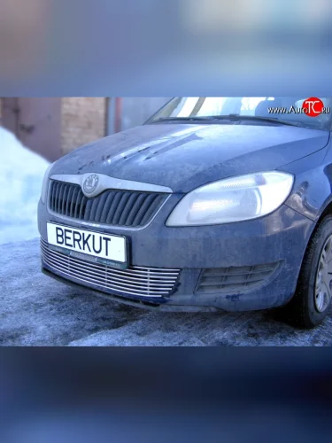 Декоративная вставка воздухозаборника Berkut Skoda Fabia Mk2 универсал дорестайлинг (2007-2010)