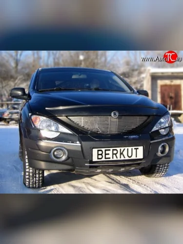 Декоративная вставка решетки радиатора Berkut SSANGYONG Actyon 1 (2006-2010)