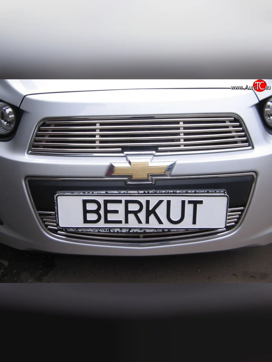 Декоративная вставка воздухозаборника Berkut Chevrolet Aveo T300 хэтчбек (2011-2015)  в Керчи Республика Крым