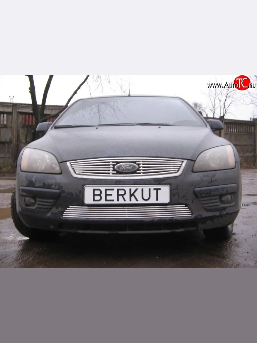 Декоративная вставка решетки радиатора Berkut Ford Focus 2 хэтчбэк 5 дв. дорестайлинг (2004-2008)  в Керчи Республика Крым