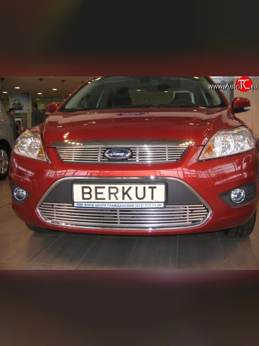 Декоративная вставка решетки радиатора Berkut Ford Focus 2 хэтчбэк 3 дв. рестайлинг (2007-2011)  в Керчи Республика Крым