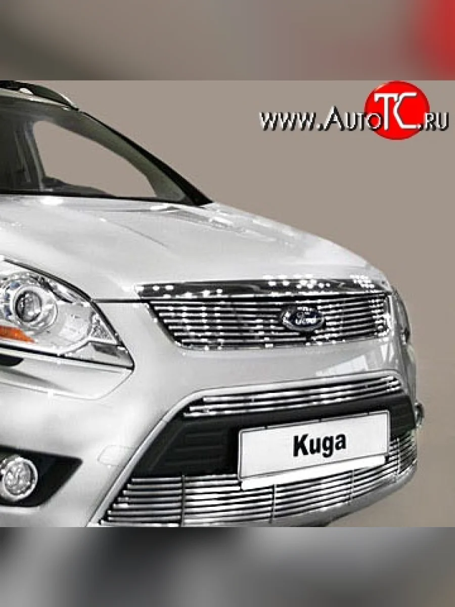 Декоративная вставка решетки радиатора Berkut Ford Kuga 1 (2008-2013)  в Самаре Самарской области