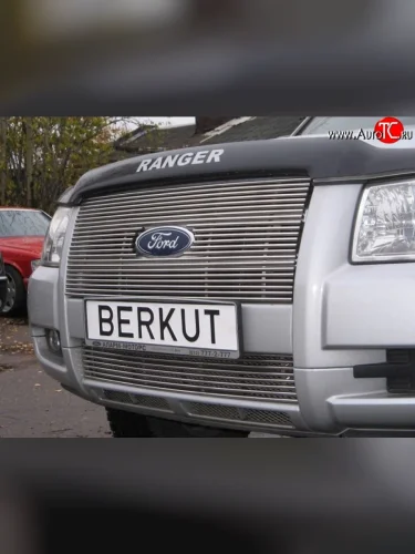 Декоративная вставка решетки радиатора Berkut Ford Ranger дорестайлинг (2006-2009)