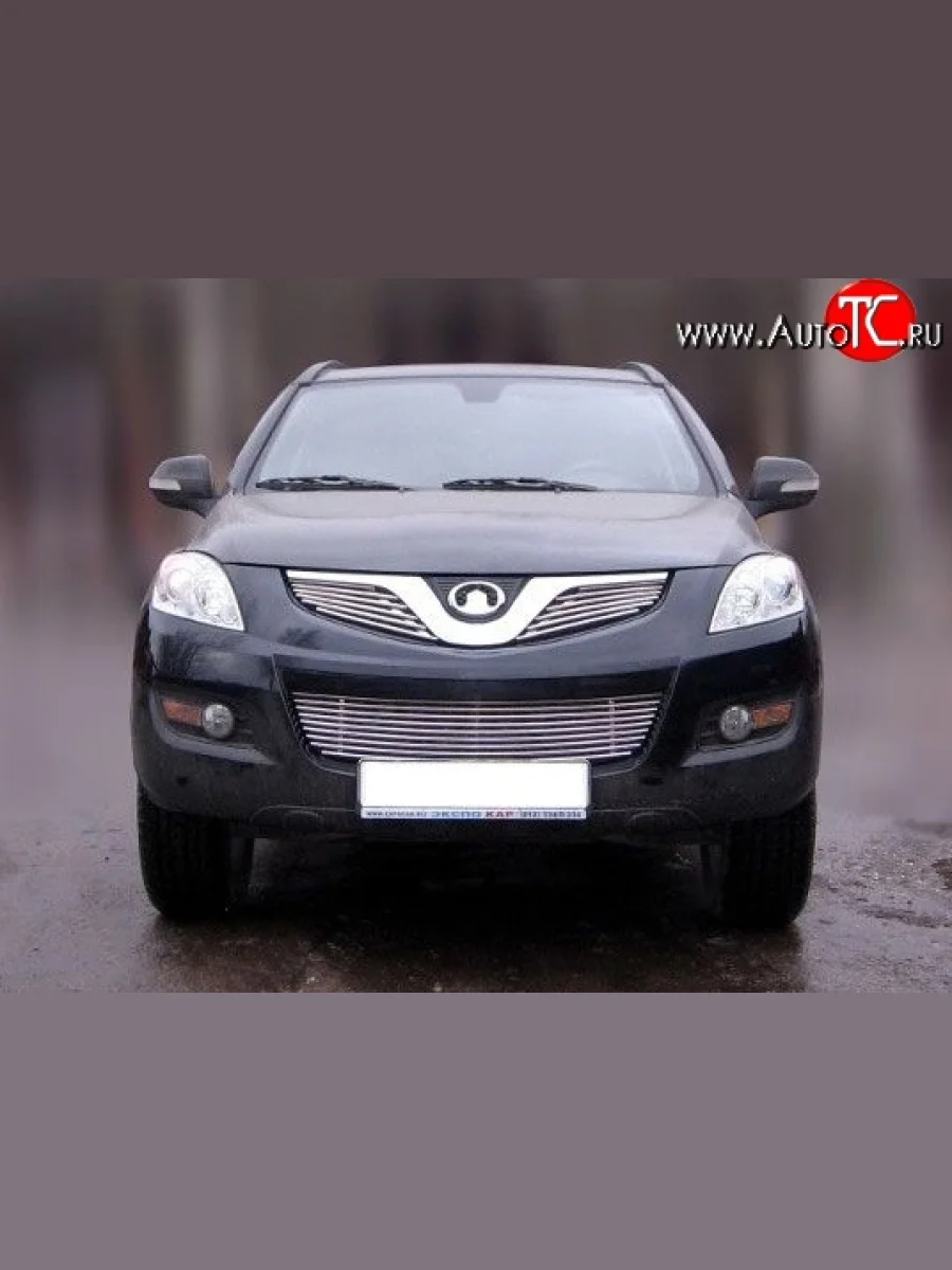 Декоративная вставка решетки радиатора Berkut Great Wall Hover H5 (2010-2017)  в Перми Пермском крае