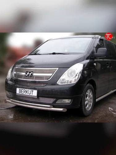 Декоративная вставка решетки радиатора Berkut Hyundai Starex/Grand Starex/H1 TQ дорестайлинг (2007-2013)