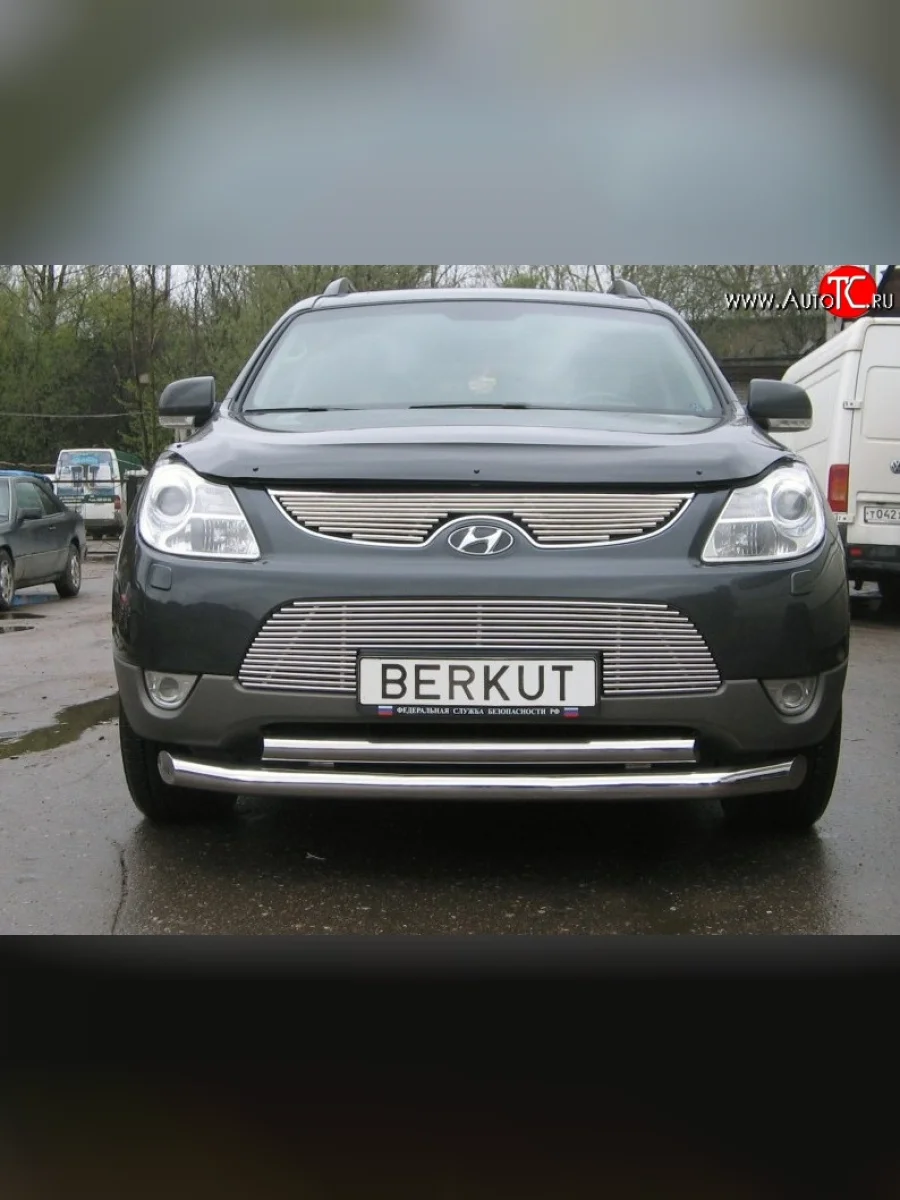 Декоративная вставка решетки радиатора Berkut Hyundai IX55 EN (2006-2013)  в Керчи Республика Крым