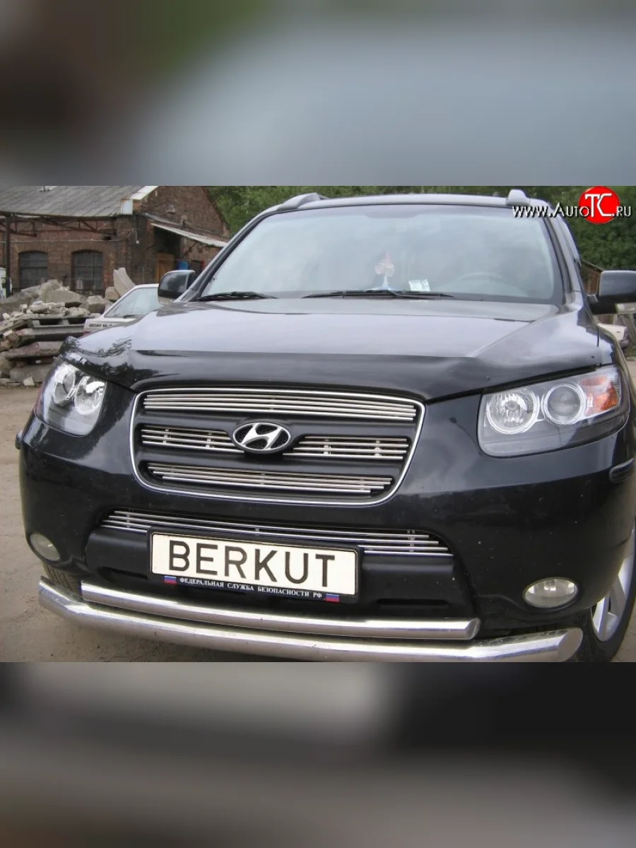 Декоративная вставка решетки радиатора Berkut Hyundai Santa Fe CM дорестайлинг (2006-2009)  в Самаре Самарской области