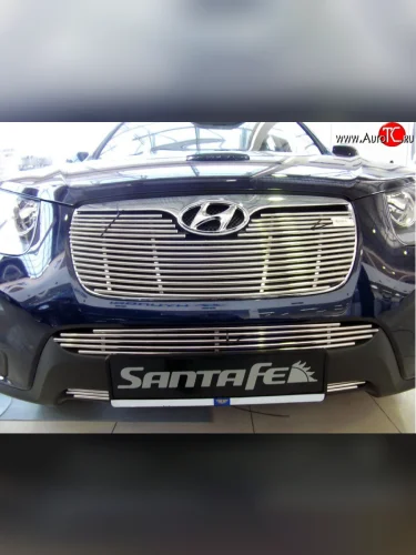 Декоративная вставка решетки радиатора Berkut (d10 мм) Hyundai Santa Fe CM рестайлинг (2009-2012)