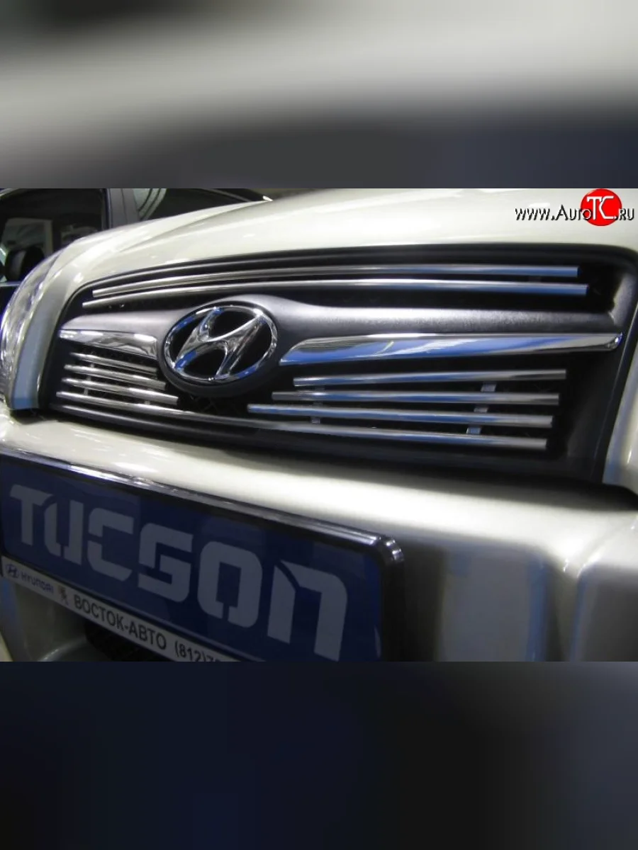 Декоративная вставка решетки радиатора Berkut Hyundai Tucson JM (2004-2010)  в Воронеже Воронежской области