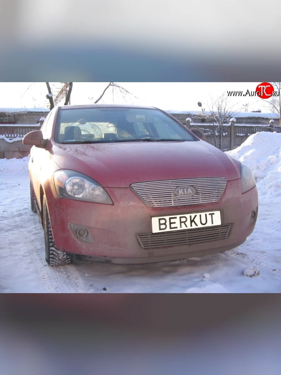 Декоративная вставка решетки радиатора Berkut KIA Ceed 1 ED дорестайлинг, хэтчбэк 5 дв. (2006-2010)  в Самаре Самарской области