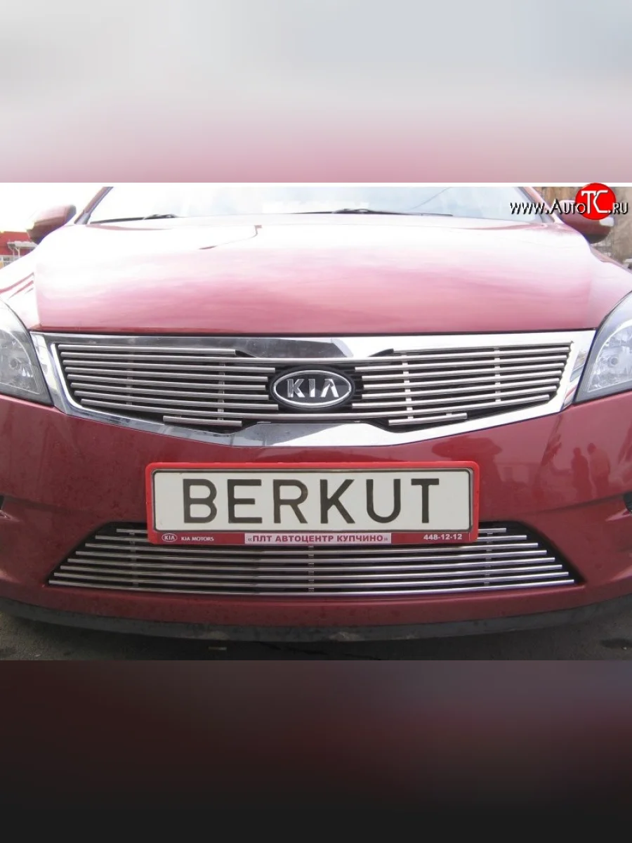 Декоративная вставка решетки радиатора Berkut KIA Ceed 1 ED рестайлинг, хэтчбэк 5 дв. (2010-2012)  в Керчи Республика Крым
