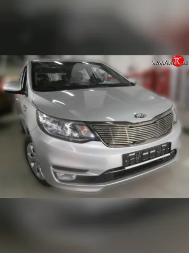 Декоративная вставка решетки радиатора Berkut KIA Rio 3 QB хэтчбек 5 дв. рестайлинг (2015-2017)