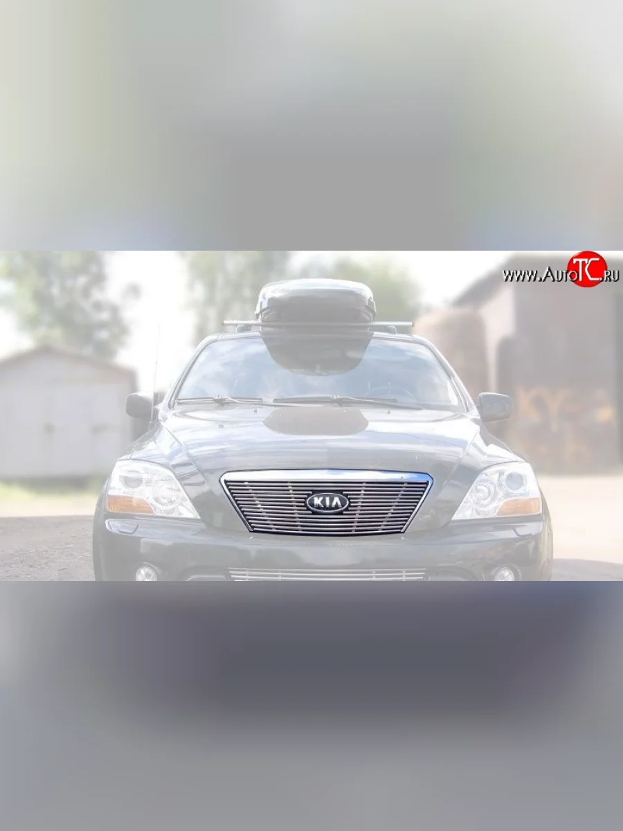 Декоративная вставка решетки радиатора BL Berkut KIA Sorento BL рестайлинг (2006-2010)  в Перми Пермском крае