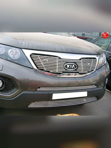 Декоративная вставка решетки радиатора XM Berkut KIA Sorento XM дорестайлинг (2009-2012)