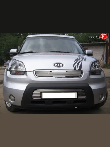 Декоративная вставка решетки радиатора AM Berkut KIA Soul AM дорестайлинг (2008-2011)