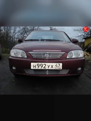Декоративная вставка решетки радиатора седан Berkut KIA Spectra (2000-2009)