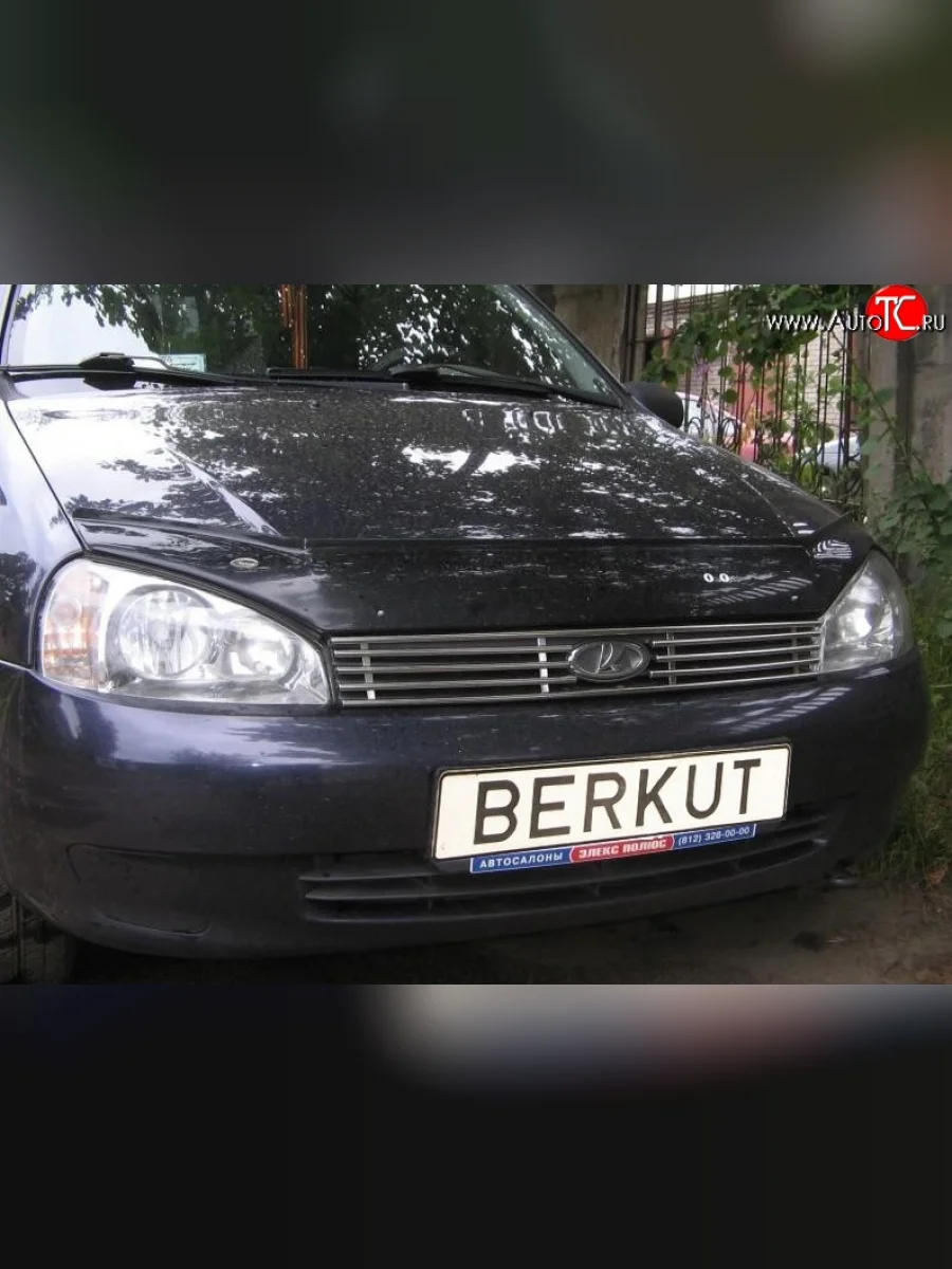Декоративная вставка решетки радиатора Berkut Лада ВАЗ Калина 1118 седан (2004-2013)  в Самаре Самарской области