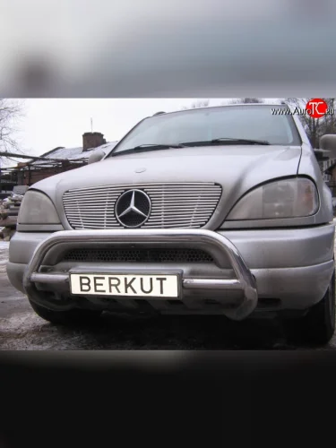 Декоративная вставка решетки радиатора Berkut Mercedes-Benz ML class W163 дорестайлинг (1997-2001)