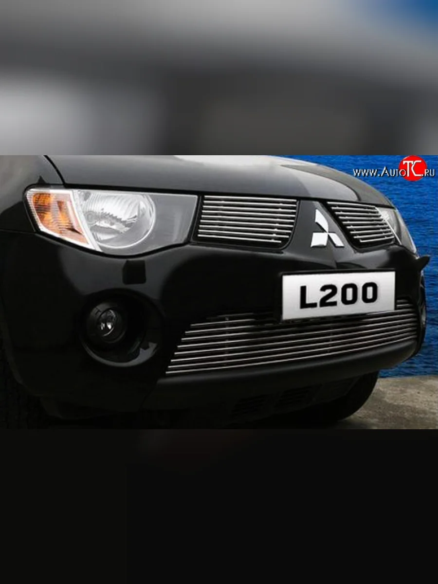 Декоративная вставка решетки радиатора Berkut Mitsubishi L200 4  дорестайлинг (2006-2014)  в Керчи Республика Крым