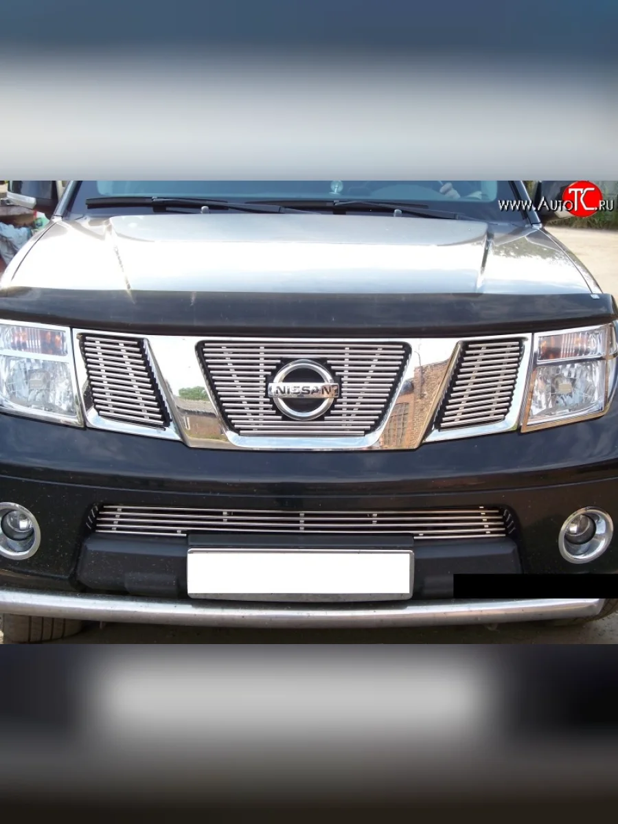 Декоративная вставка решетки радиатора Berkut Nissan Navara 2 D40 дорестайлинг (2004-2010)  в Воронеже Воронежской области