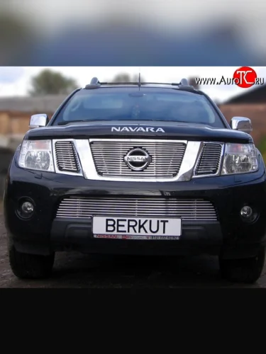 Декоративная вставка решетки радиатора (рестайлинг) Berkut Nissan Navara 2 D40 дорестайлинг (2004-2010)