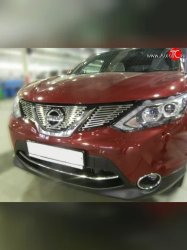 Декоративная вставка решетки радиатора (J11) Berkut Nissan Qashqai 2 J11 дорестайлинг (2013-2019)