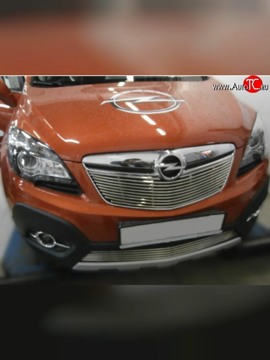 Декоративная вставка решетки радиатора Berkut Opel Mokka  дорестайлинг (2012-2016)  в Керчи Республика Крым