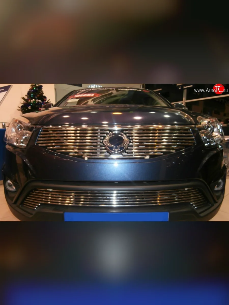 Декоративная вставка решетки радиатора Berkut SSANGYONG Actyon рестайлинг (2013-2021)  с доставкой в г. Керчь