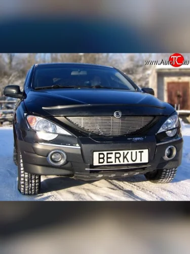 Декоративная вставка решетки радиатора Berkut SSANGYONG Actyon Sport (2006-2011)
