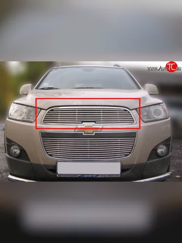 Декоративная вставка решетки радиатора Berkut Chevrolet Captiva 1-ый рестайлинг (2011-2013)